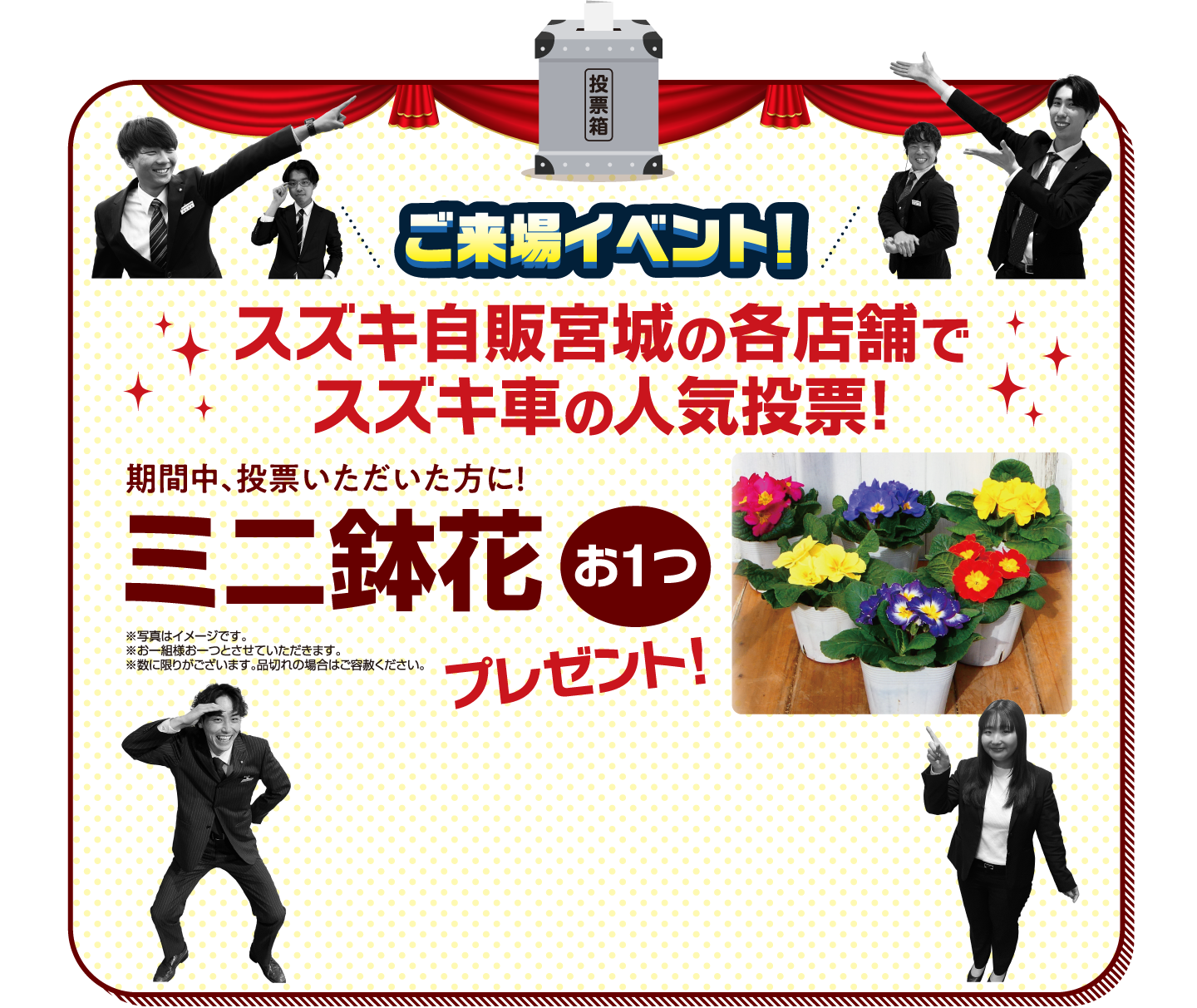 ご来場イベント! スズキ自販宮城の各店舗でスズキ車の人気投票！ 期間中、投票いただいた方に！ ミニ鉢花 お1つ ※写真はイメージです。※お一組様お一つとさせていただきます。※数に限りがございます。品切れの場合はご容赦ください。プレゼント!